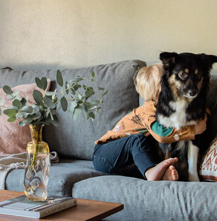 Kuinka totuttaa lapsi koiriin ja koirat lapseen?